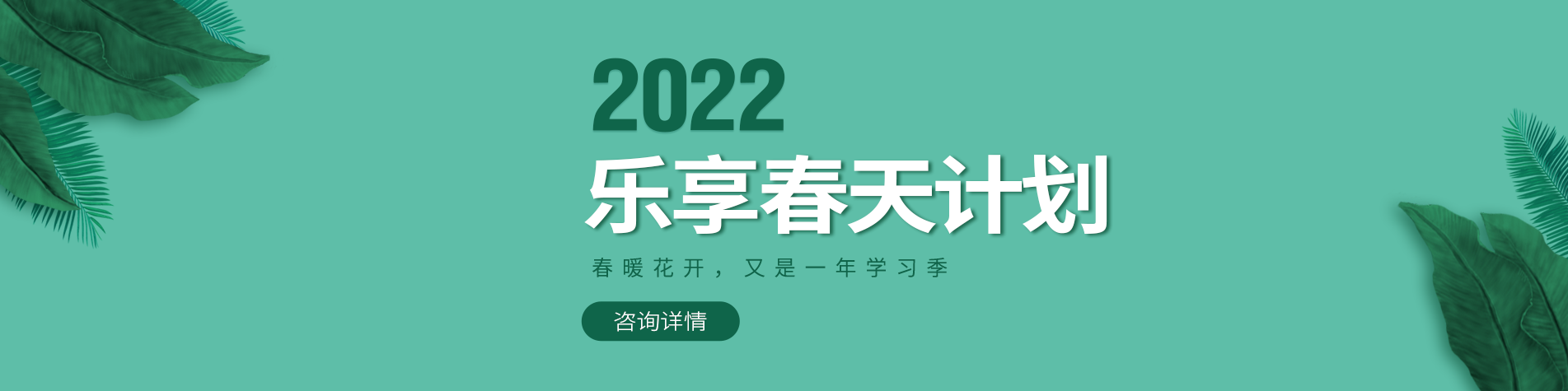 亚洲拳头塞逼视频